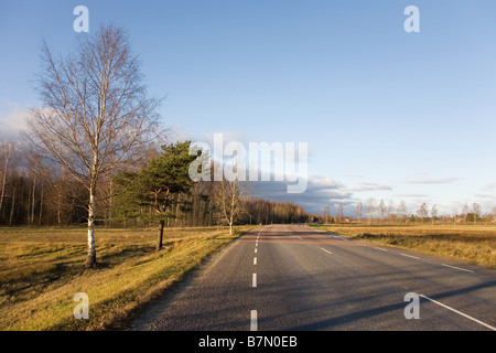 L'autoroute, du comté de Tartu, Estonie Banque D'Images