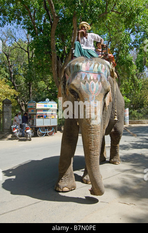 Un mahout assis sur le dessus de son amble éléphant peint dans les rues d'Udaipur espionnant pour l'entreprise. Banque D'Images