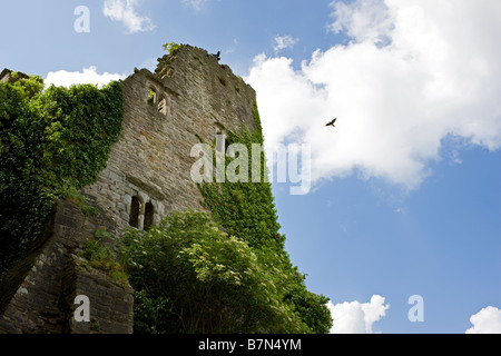 Château de Hay, Hay-on-Wye, au Pays de Galles UK Banque D'Images