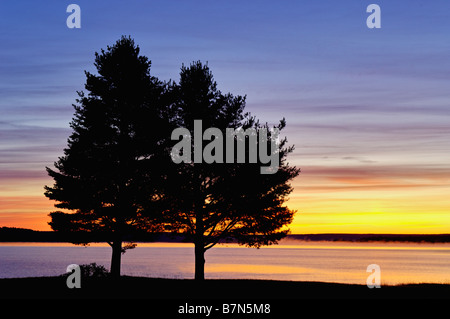 Deux arbres silhouette sur le lac Supérieur de Sunrise Bay four avec vue sur Grand Island à Alger County Michigan Banque D'Images