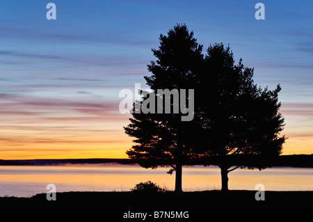 Deux arbres silhouette sur le lac Supérieur de Sunrise Bay four avec vue sur Grand Island à Alger County Michigan Banque D'Images