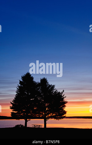 Deux arbres silhouette sur le lac Supérieur de Sunrise Bay four avec vue sur Grand Island à Alger County Michigan Banque D'Images