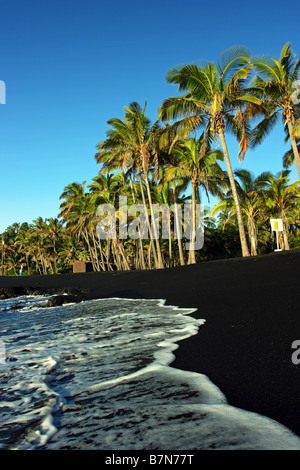 Punalu'u sable noir et vert des palmiers au lever du soleil à la plage de sable noir. Big Island Hawaii USA Banque D'Images