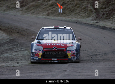 Les voitures de rallye au Rallye du Pays de Galles, GB 2008 - Dani Sordo Banque D'Images