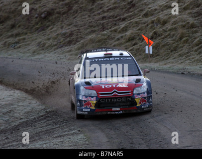 Les voitures de rallye au Rallye du Pays de Galles, GB 2008 - Dani Sordo Banque D'Images