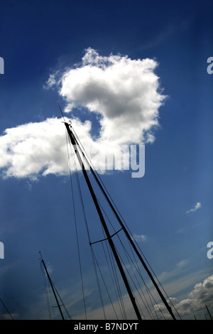 Résumé Vue d'un mât de yachts. Banque D'Images