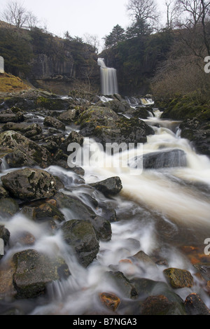 Thornton vigueur Cascade, partie de la promenade à l'chutes d'Ingleton Ingleton Ribblesdale dans le Yorkshire Dales U.K Banque D'Images