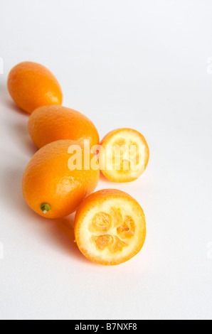 Le kumquat ou Cumquats (Citrus japonica) Banque D'Images