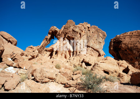 La Vallée de Feu State Park près de Las Vegas, Elephant Rock Banque D'Images