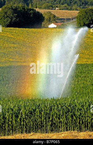 L'irrigation d'un champ de maïs près d'Angoulême, France. Banque D'Images