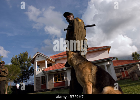 Un garde de sécurité patrouillant le composé d'une maison avec un chien de protection Nairobi Kenya Banque D'Images