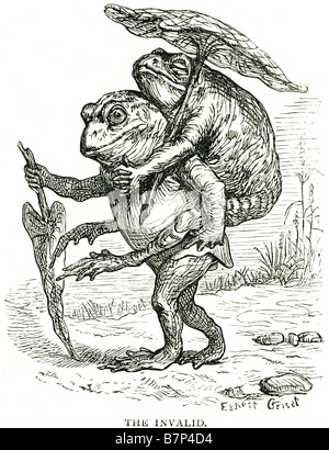 Parapluie grenouille crapaud non valide à pied promenade étang aider cartoon fantasy transportant la vie des reptiles de la faune d'été à l'extérieur de marche Banque D'Images