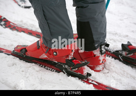 Close up d'un homme portant une paire de chaussures de ski Salomon rouge et liaisons sur une paire de skis. L'Europe Banque D'Images