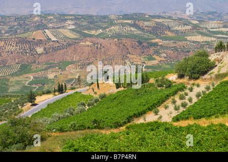 Profitis Ilias, Crète, Grèce Vue sur campagne site archéologique Minoen de Phaistos Banque D'Images