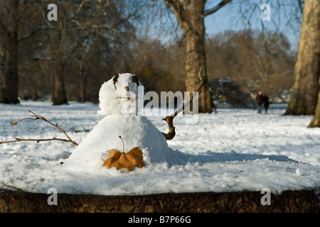 Hyde park neige hiver Londres Angleterre Royaume-uni climatique Banque D'Images