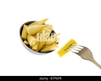 Bébé en santé frais isolé du maïs sur un fond blanc avec aucun peuple et un chemin de détourage Banque D'Images