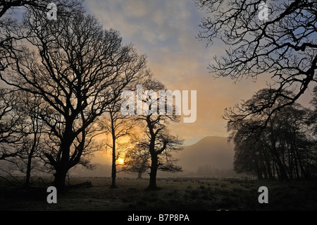 La fin de soleil brille à travers les arbres se découpant sur un après-midi d'hiver près de Killin Perthshire Scotland UK Banque D'Images