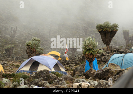 Route Machame camp Barranco sur le Mont Kilimanjaro en Tanzanie Banque D'Images