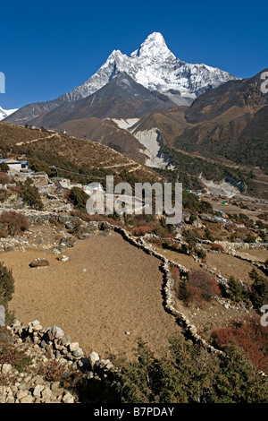 Amadablam majestueuse montagne en arrière-plan comme vu de Pangboche village Népal Banque D'Images