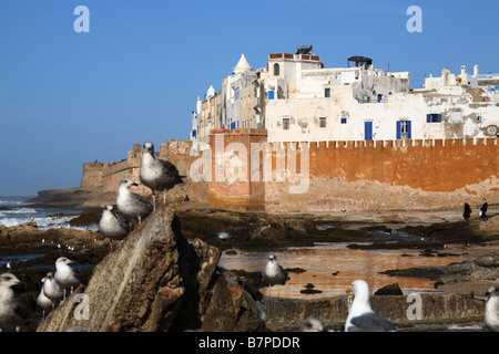 Les murs de la ville fortifiée d'Essaouira, Maroc Banque D'Images