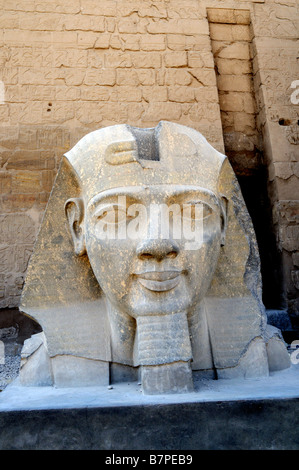 Tête géante de Ramsès le Grand au temple de Louxor en Égypte Banque D'Images