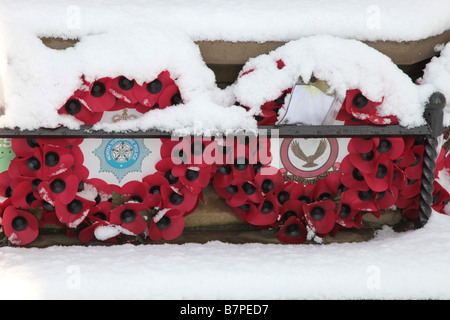 Close up de couronne de coquelicots couvert de neige Banque D'Images