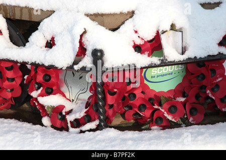 Close up de couronne de coquelicots couvert de neige Banque D'Images