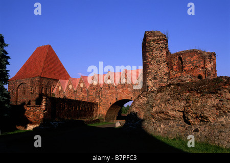 Pologne, Torun, ruines du château des Chevaliers Teutoniques Banque D'Images