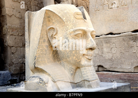 Énorme tête de Ramsès le Grand au temple de Louxor en Égypte Banque D'Images