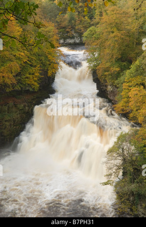 Cascade Corra Linn Falls of Clyde New Lanark South Lanarkshire en Écosse l'automne Banque D'Images