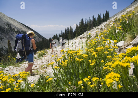 Backpackers monter un sentier rocheux dans les montagnes Sangre de Cristo, au Colorado. Banque D'Images