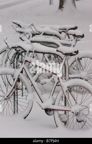 La neige a couvert plusieurs vélos verrouillé sur des supports à vélo dans le centre de Brighton après une lourde chute de neige la nuit Banque D'Images