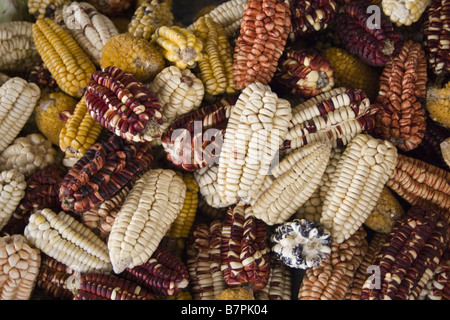 Plus de 30 variétés de maïs sont en vente dans les marchés de Cusco, Pérou. Banque D'Images