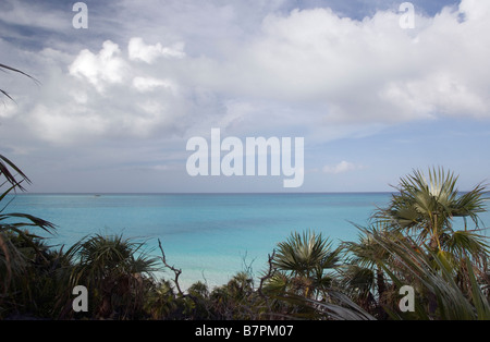 Eaux de cristal dans le parc de la mer et la terre Bahamanian Banque D'Images