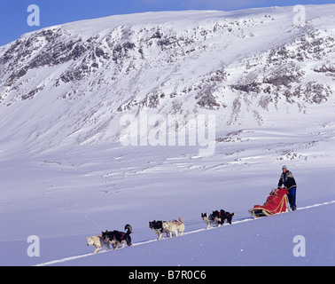 Traction Huskies Sled Banque D'Images