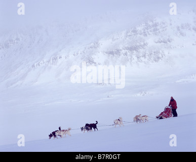 Traction Huskies Sled Banque D'Images