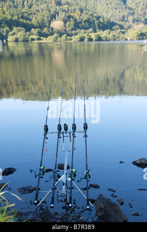 Cannes et moulinets de pêche Banque D'Images