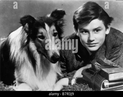 Lassie Come Home Année : 1943 - usa Roddy McDowall Réalisateur : Fred M. Wilcox Banque D'Images