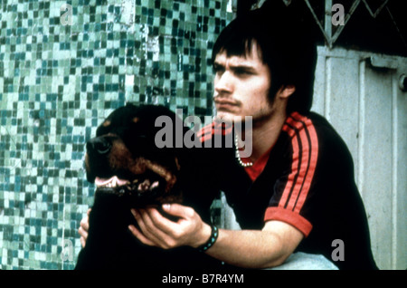 Amores perros Année : 2000 - Mexique Gael García Bernal Réalisateur : Alejandro Gonzalez Banque D'Images