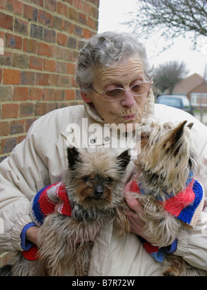 Femme âgée enveloppé par une froide journée d'hiver dans ses chiens manteaux tricotés de retour d'une promenade vive Banque D'Images