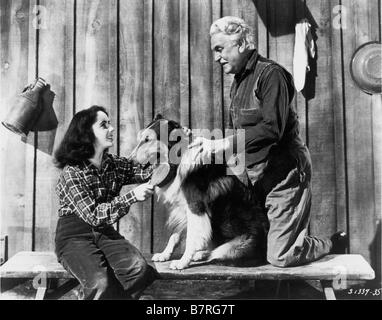 Courage de Lassie Année : 1946 USA Elysabeth Taylor, Frank Morgan Directeur Fred M. Wilcox Banque D'Images