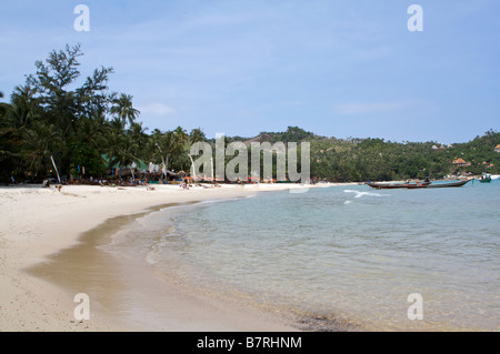 Ciel bleu au-dessus des palmiers Ao Thong Nai Pan Noi beach Koh Phangan, Thaïlande Banque D'Images