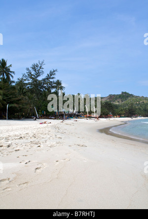 Ciel bleu au-dessus des palmiers Ao Thong Nai Pan Noi beach Koh Phangan, Thaïlande Banque D'Images