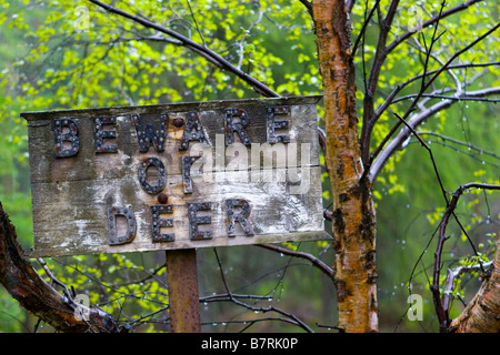 Panneau d'avertissement de circulation peu fréquent; panneau rouge écossais Wild Deer Crossing; panneau de route Beware of Deer, Royal Deeside, parc national de Cairngorms, Écosse, Royaume-Uni Banque D'Images