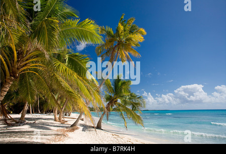 Plage sur l'île de Saona NATIONAL Parque del Este RÉPUBLIQUE DOMINICAINE CARAÏBES Banque D'Images