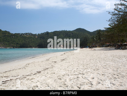 Ciel bleu au-dessus des palmiers Ao Thong Nai Pan Yai Beach Koh Phangan, Thaïlande Banque D'Images