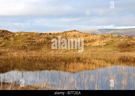 Système de dunes Kenfig Réserve naturelle nationale de galles glamorgan Banque D'Images