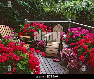 Vashon Island, WA : pont extérieur avec chaises Adirondack niché parmi de grands pots d'argile de la floraison des géraniums, bégonias Banque D'Images