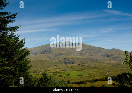 Sommet de Snowdon vu de la forêt de Beddgelert au pays de Galles Banque D'Images