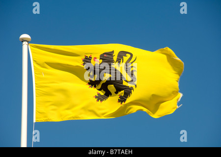 Drapeau flamand volant sur un mât blanc vu contre un ciel bleu. Banque D'Images